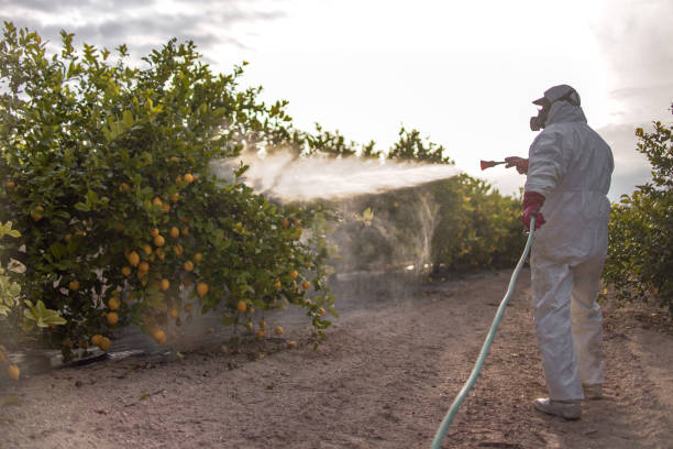 Best Wildlife Control Services  in Conneaut Lakeshore, PA