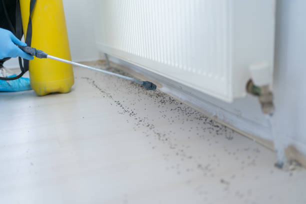 Best Best Pest Control Companies  in Conneaut Lakeshore, PA