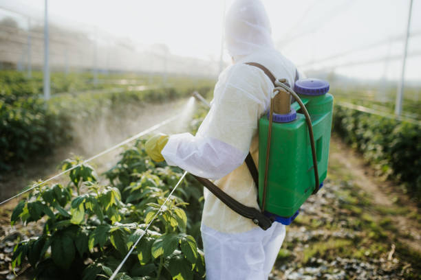 Reliable Conneaut Lakeshore, PA Pest Control Solutions